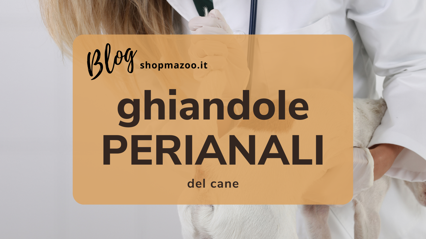 Ghiandole perianali del cane: i possibili problemi
