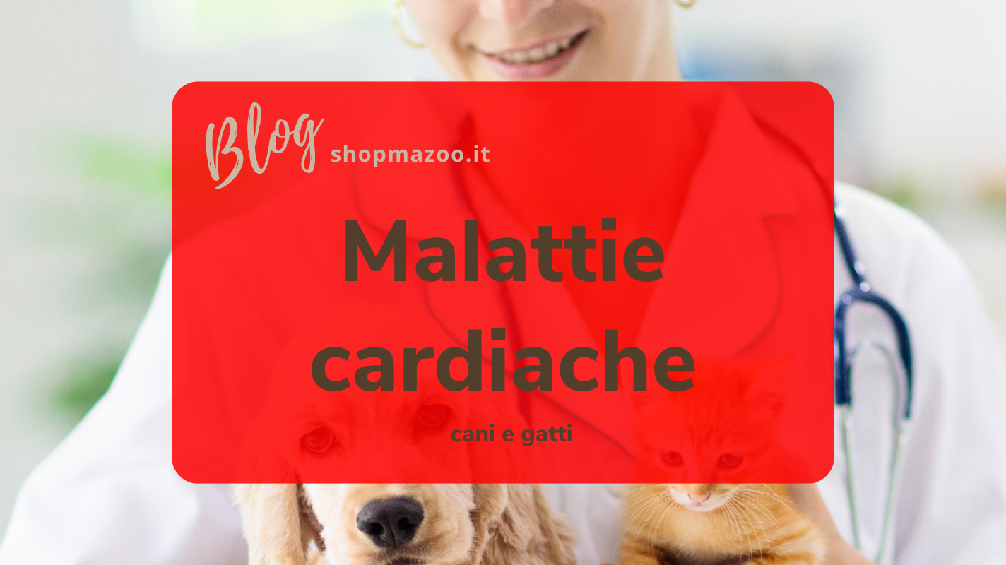Malattie cardiache nei cani e nei gatti: sintomi, cause e trattamento