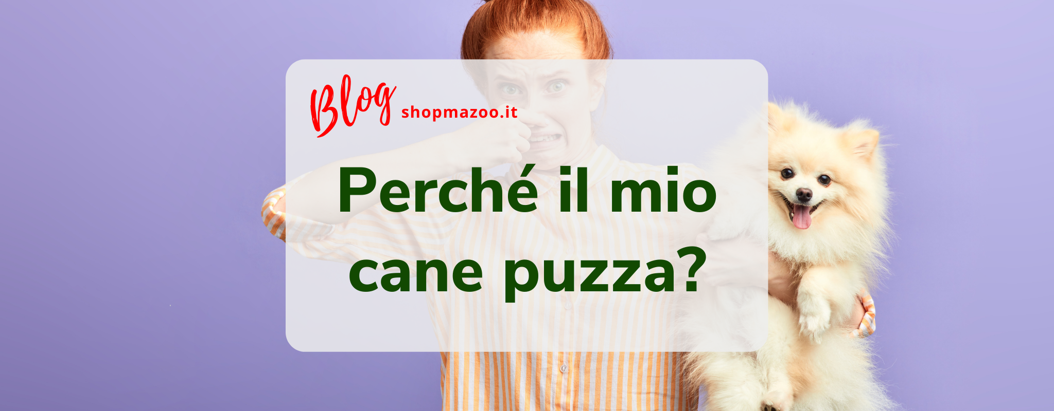 Perché il mio cane puzza? Ecco cosa fare in questi casi