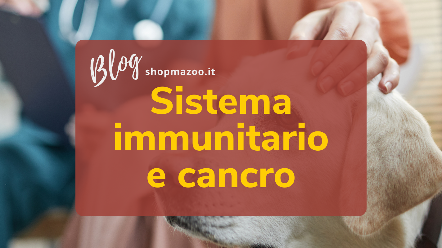 Come supportare il sistema immunitario di cani e gatti durante la terapia contro il cancro?