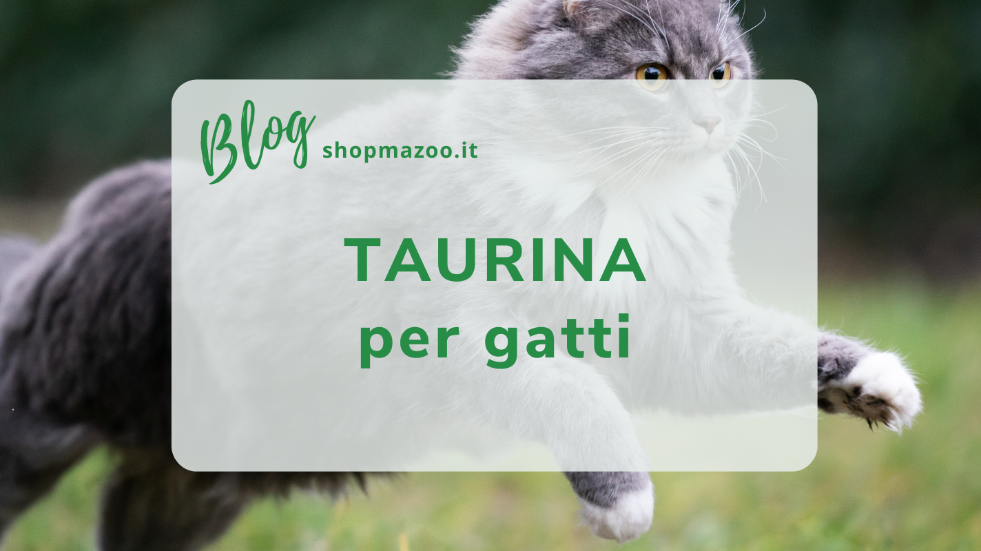 Taurina per Gatti: Benefici, Carenze e Integrazione con Dolvit Taurina