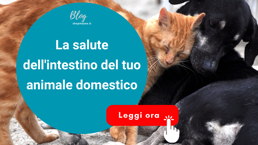 La salute dell'intestino del tuo animale domestico; Comprendere l'utilità dei probiotici e prebiotici.