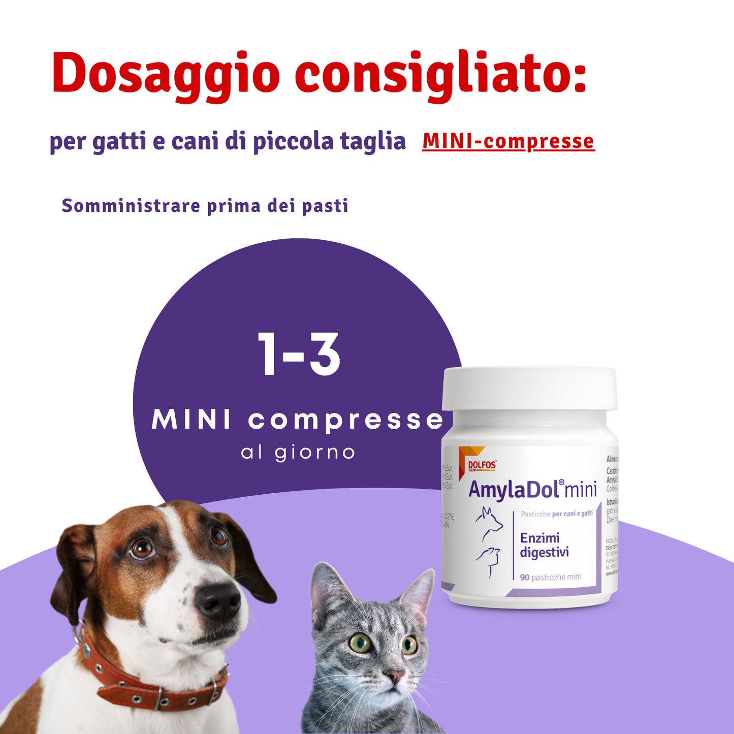 AmylaDol mini 90 "Enzimi digestivi: Amilasi, Lipasi e Proteasi"