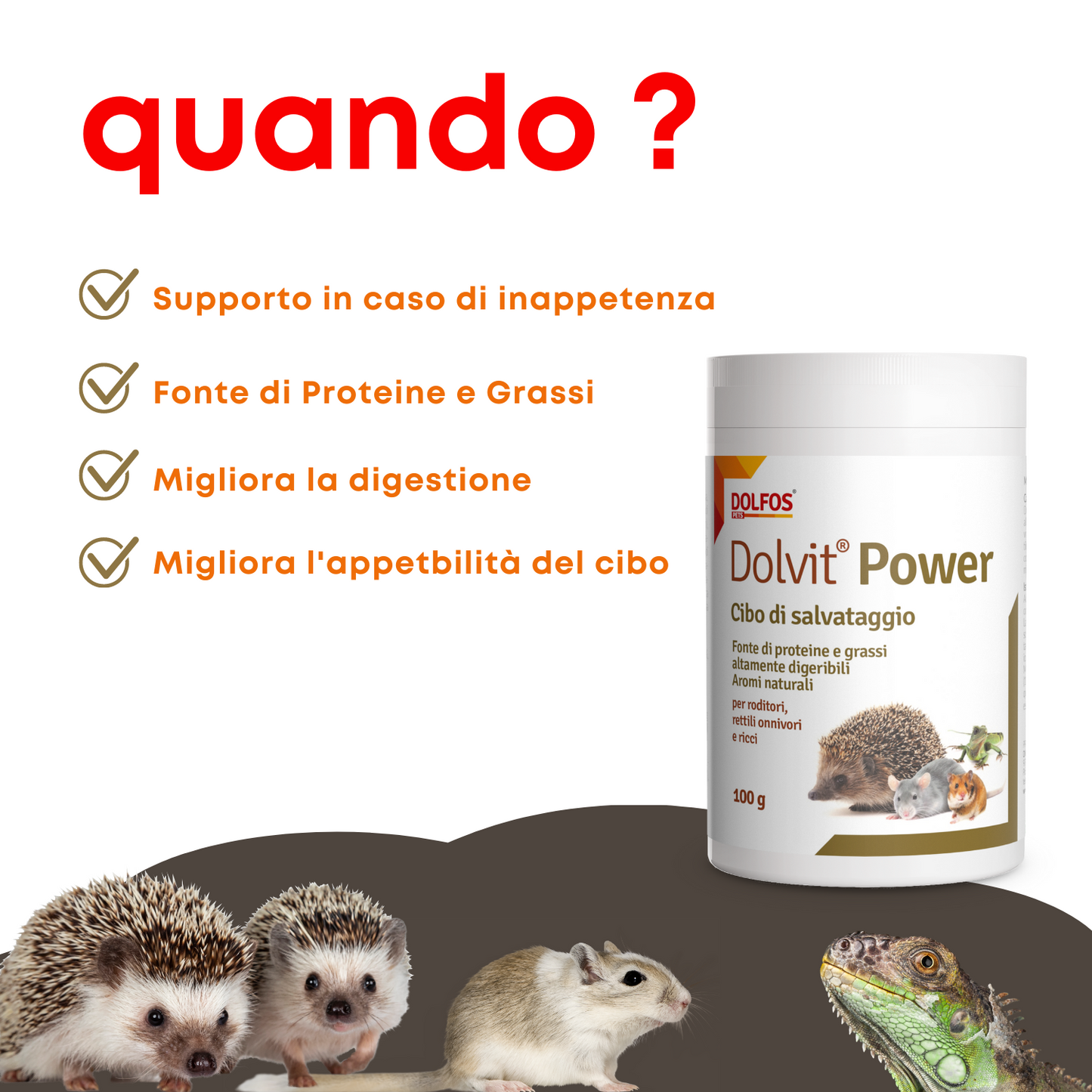 Dolvit Power " .. alimento di soccorso nei periodi di inappetenza.. per onnivori"