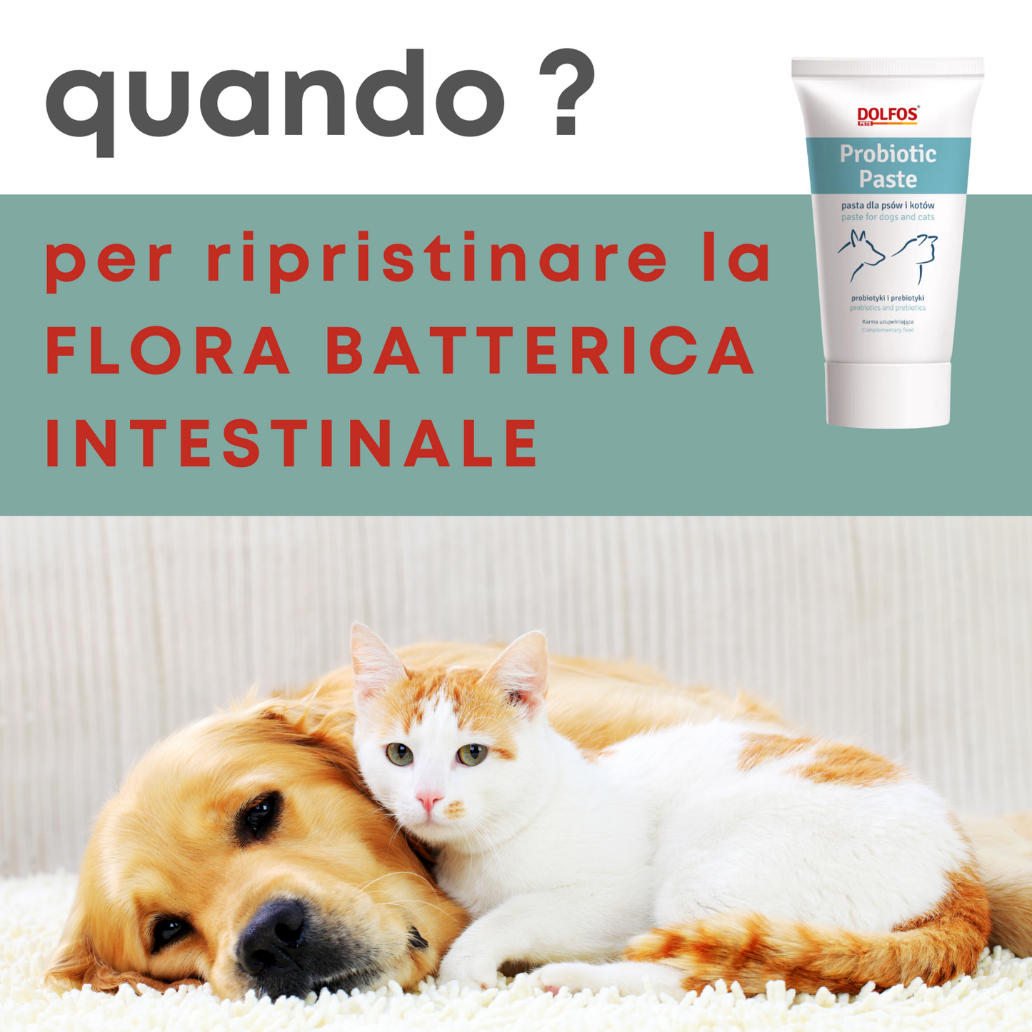 Probiotic Paste 50 "..probiotici e prebiotici in pasta.."