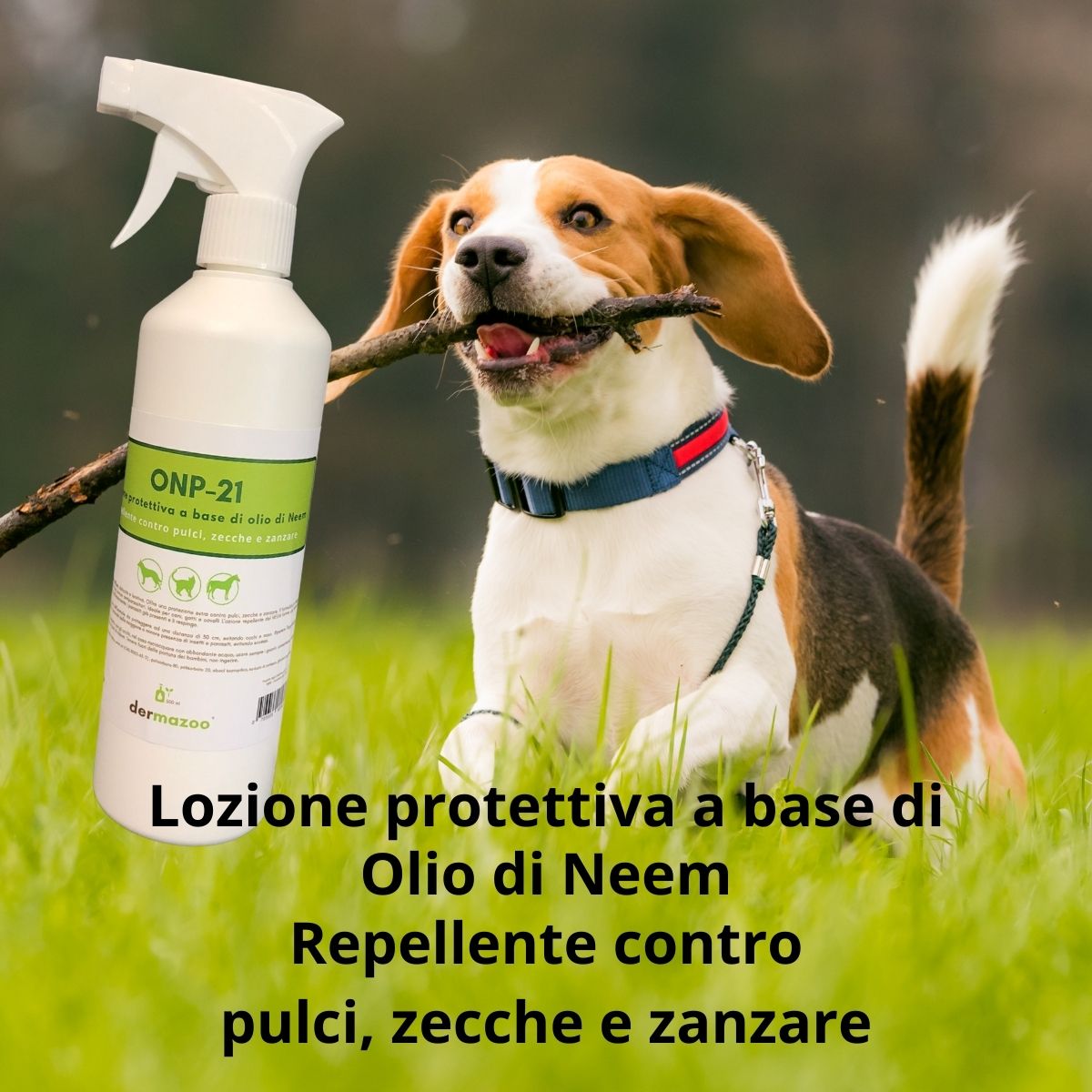 dermazoo - Olio di Neem per Cani Repellente Spray