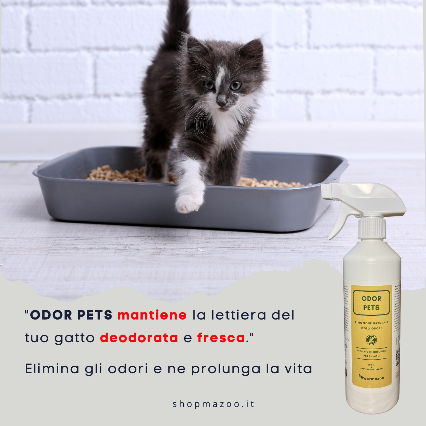 Dermazoo - ODOR PETS - Elimina odori e Macchie per Cani e Gatti