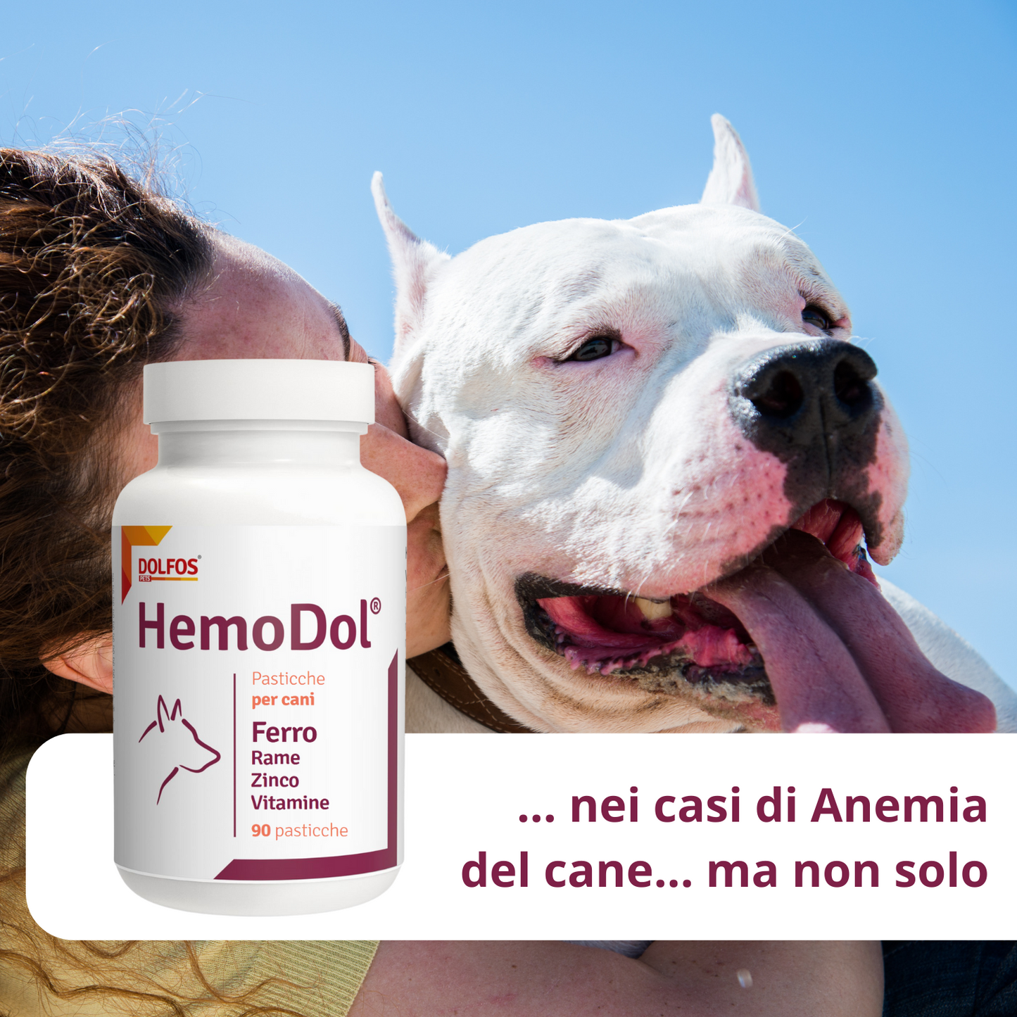 HemoDol 90 ".. Ferro chelato, Zinco chelato, Rame chelato, Vitamine .... "