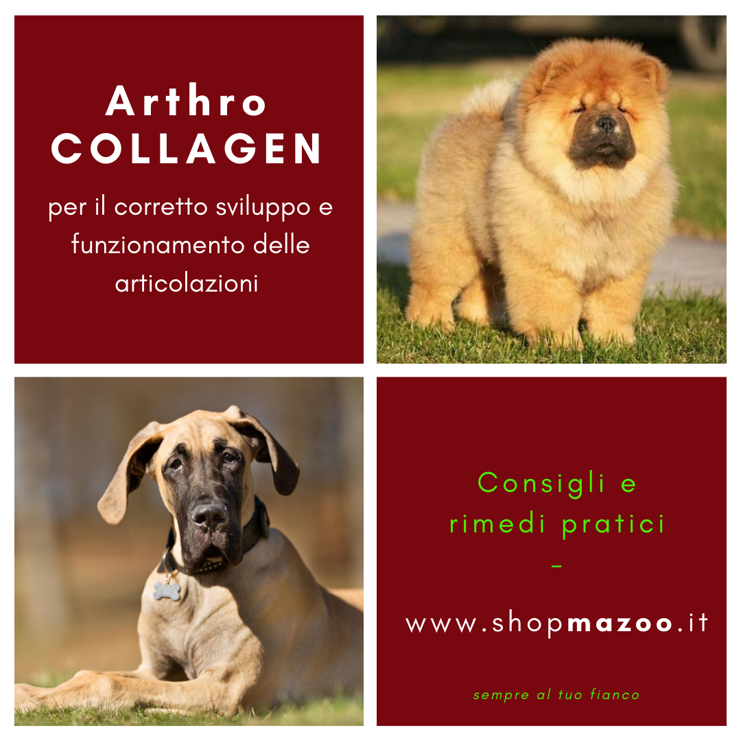 ArthroCollagen per il corretto sviluppo e funzionamento delle articolazioni