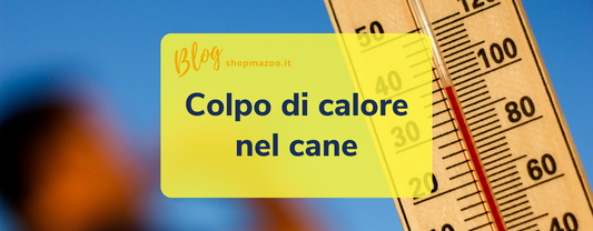 Colpo di calore nel cane: le razze più a rischio e come proteggerle