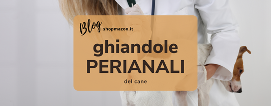 Ghiandole perianali del cane: i possibili problemi