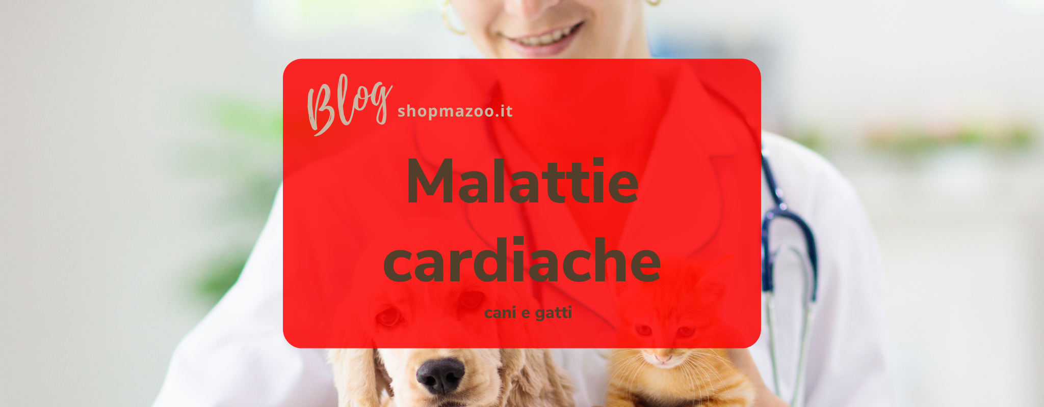 Malattie cardiache nei cani e nei gatti: sintomi, cause e trattamento