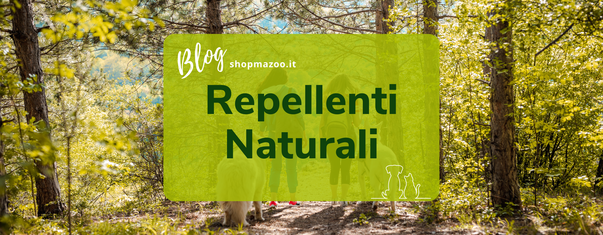 Repellente per gatti e cani: un rimedio naturale contro pulci e zecche