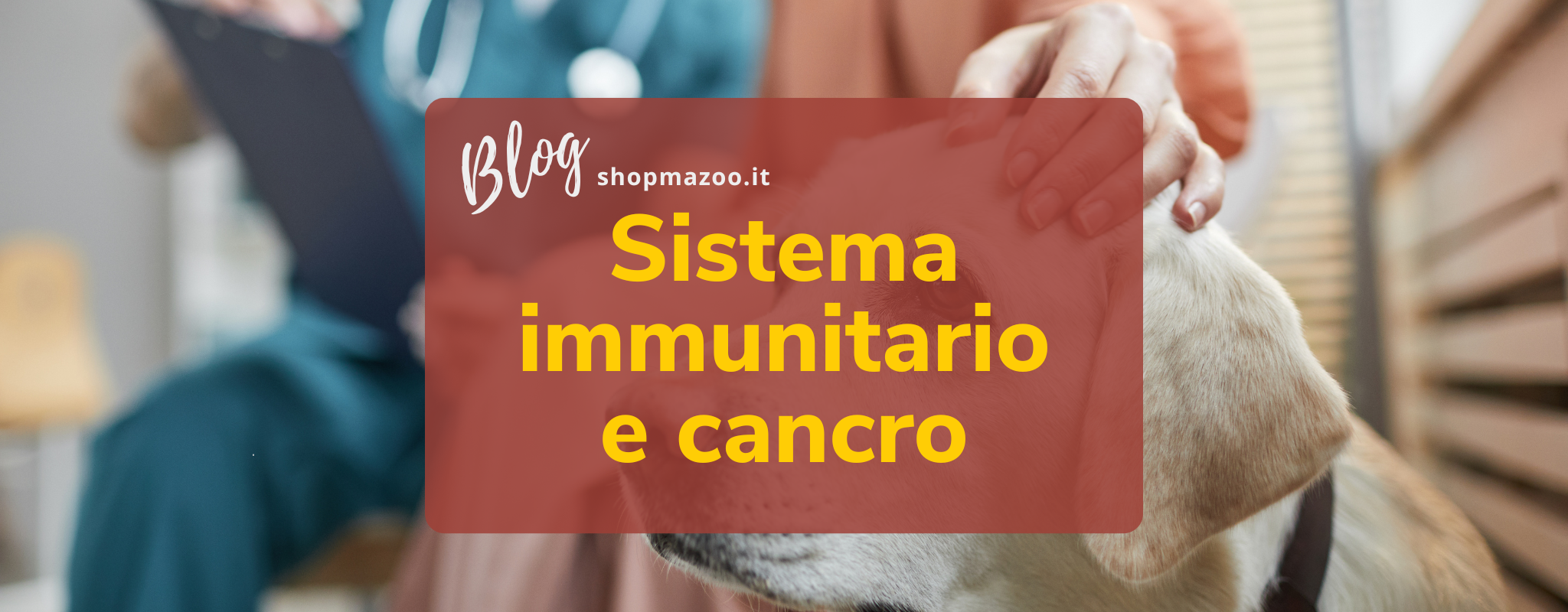 Come supportare il sistema immunitario di cani e gatti durante la terapia contro il cancro?