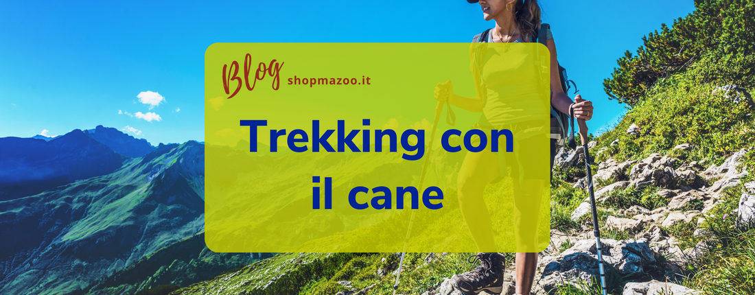 Trekking con cane: cosa avere con sé e a cosa prestare attenzione