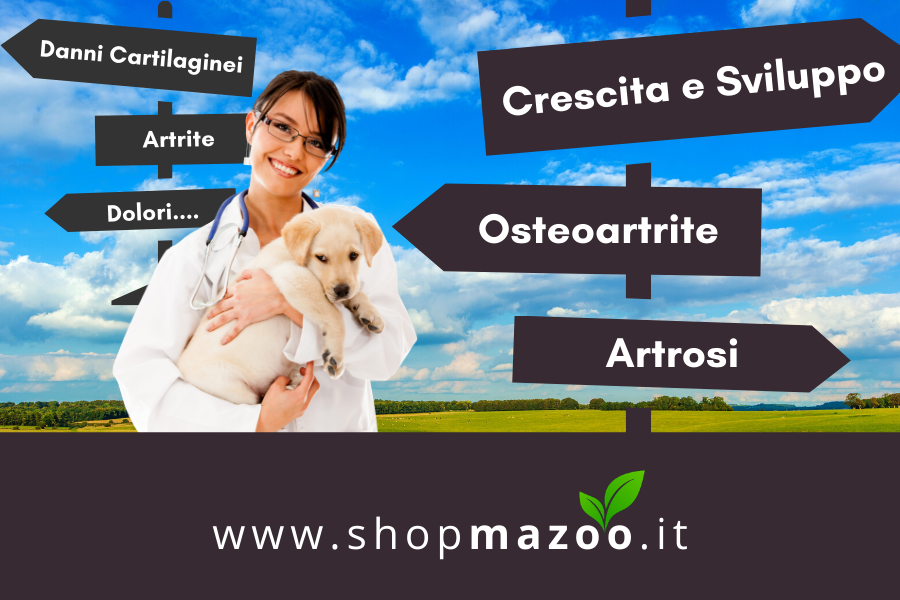 Scopri i migliori condroprotettori per cani per una vita sana e attiva