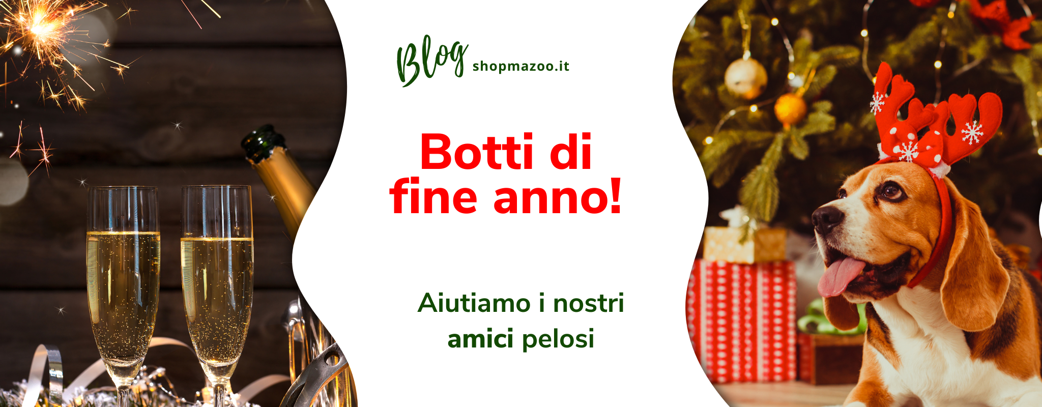Come calmare un cane spaventato dai botti? Una breve guida pratica