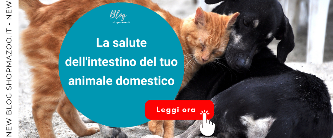 La salute dell'intestino del tuo animale domestico; Comprendere l'utilità dei probiotici e prebiotici.