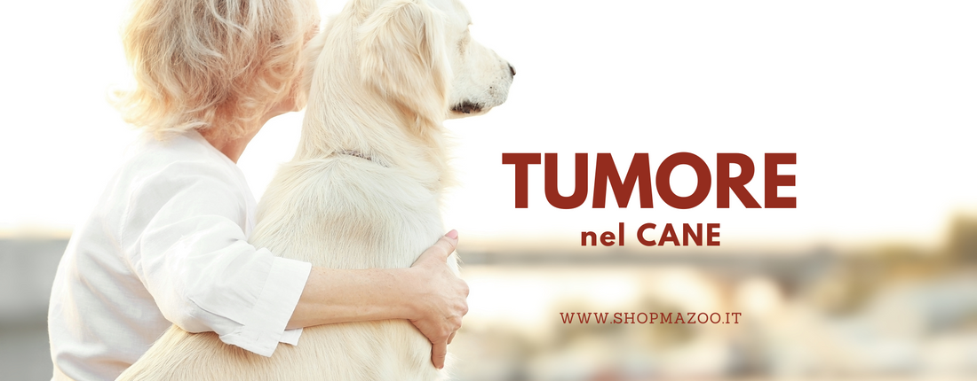 Tumore nel cane: le forme più diffuse e i sintomi da riconoscere
