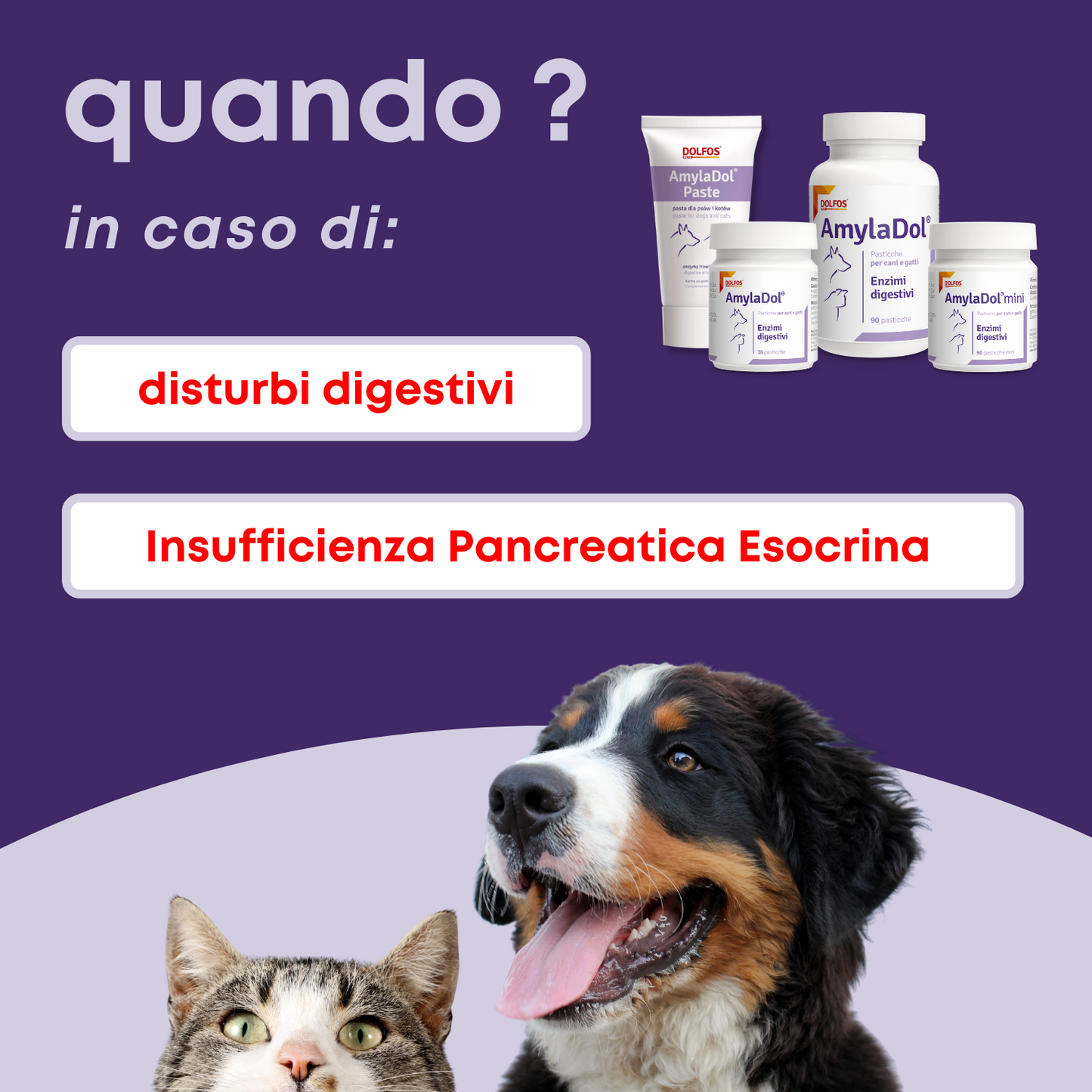AmylaDol 30 "Enzimi digestivi: Amilasi, Lipasi e Proteasi"