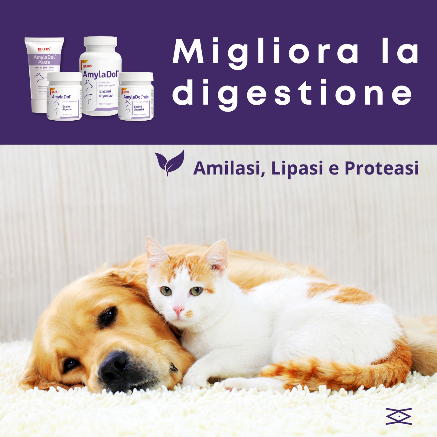 AmylaDol mini 90 "Enzimi digestivi: Amilasi, Lipasi e Proteasi"