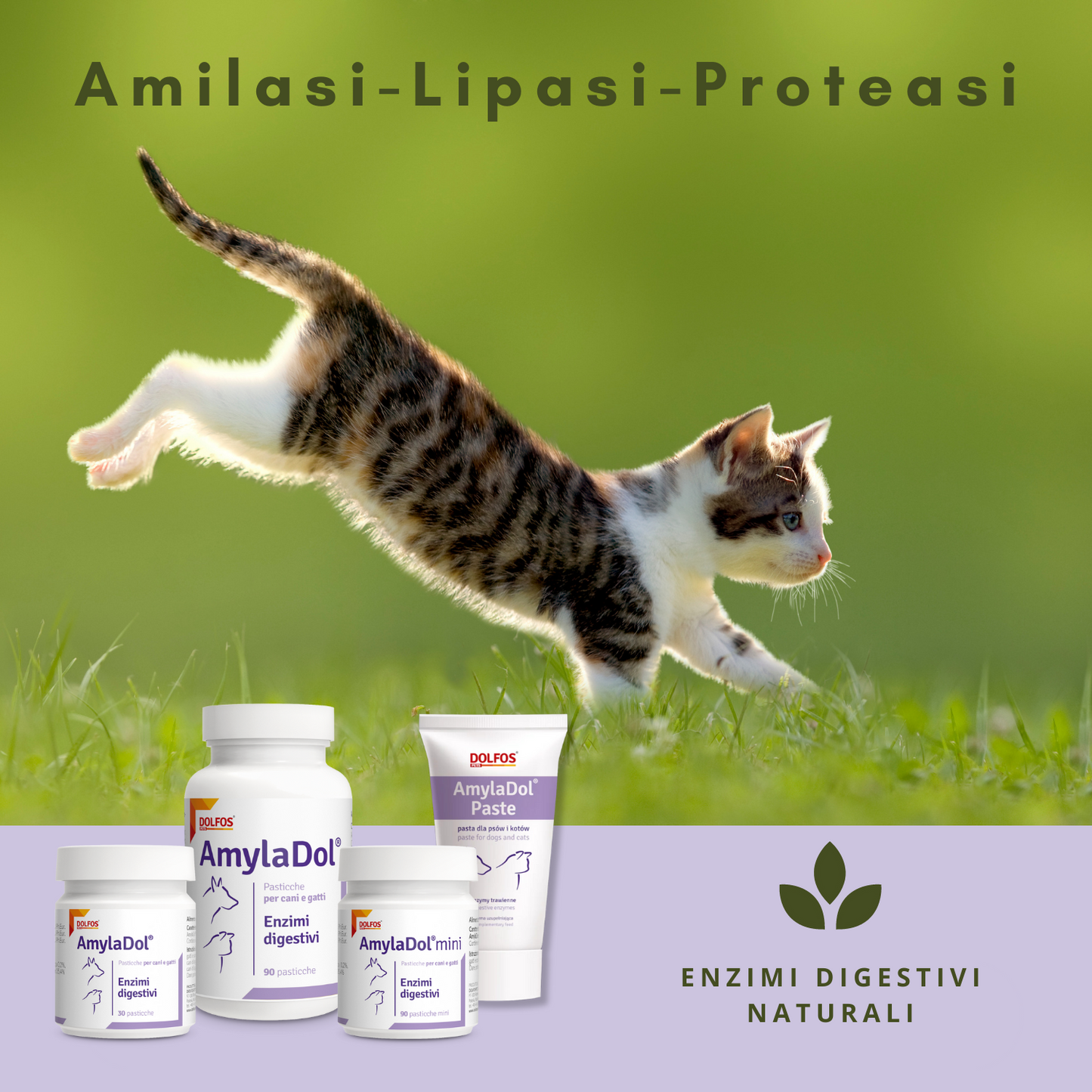 AmylaDol mini 90 "Enzimi digestivi: Amilasi, Lipasi e Proteasi"