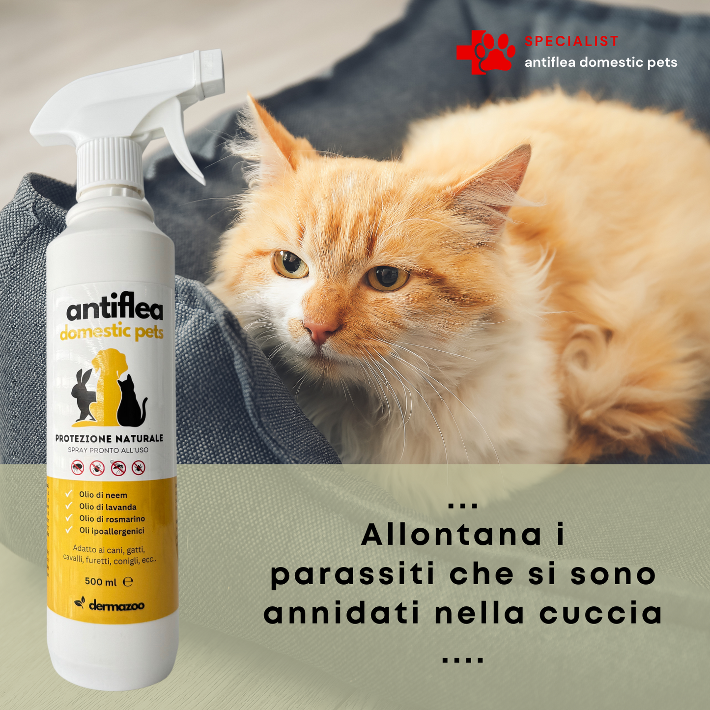 dermazoo - Antiflea domestic pets Repellente Spray per gatti