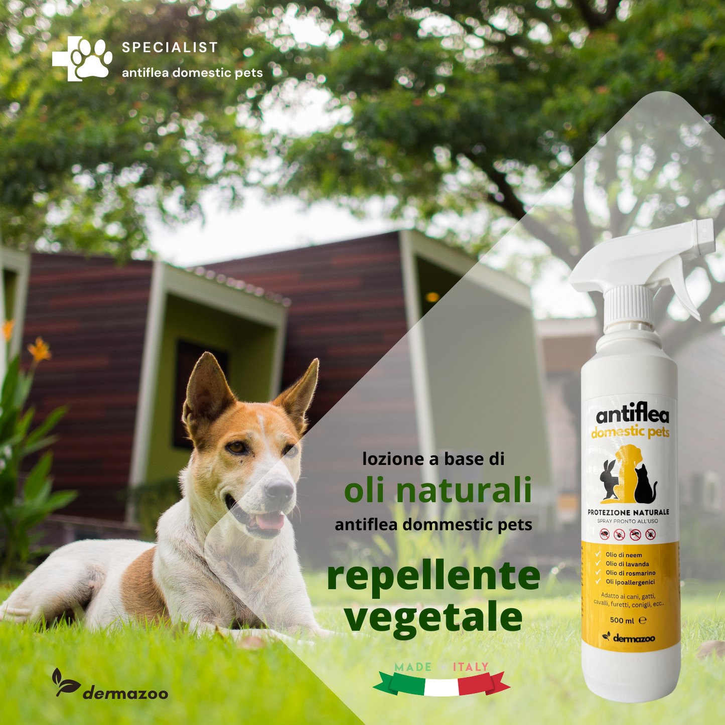 dermazoo - Antiflea domestic pets Repellente Spray per cani