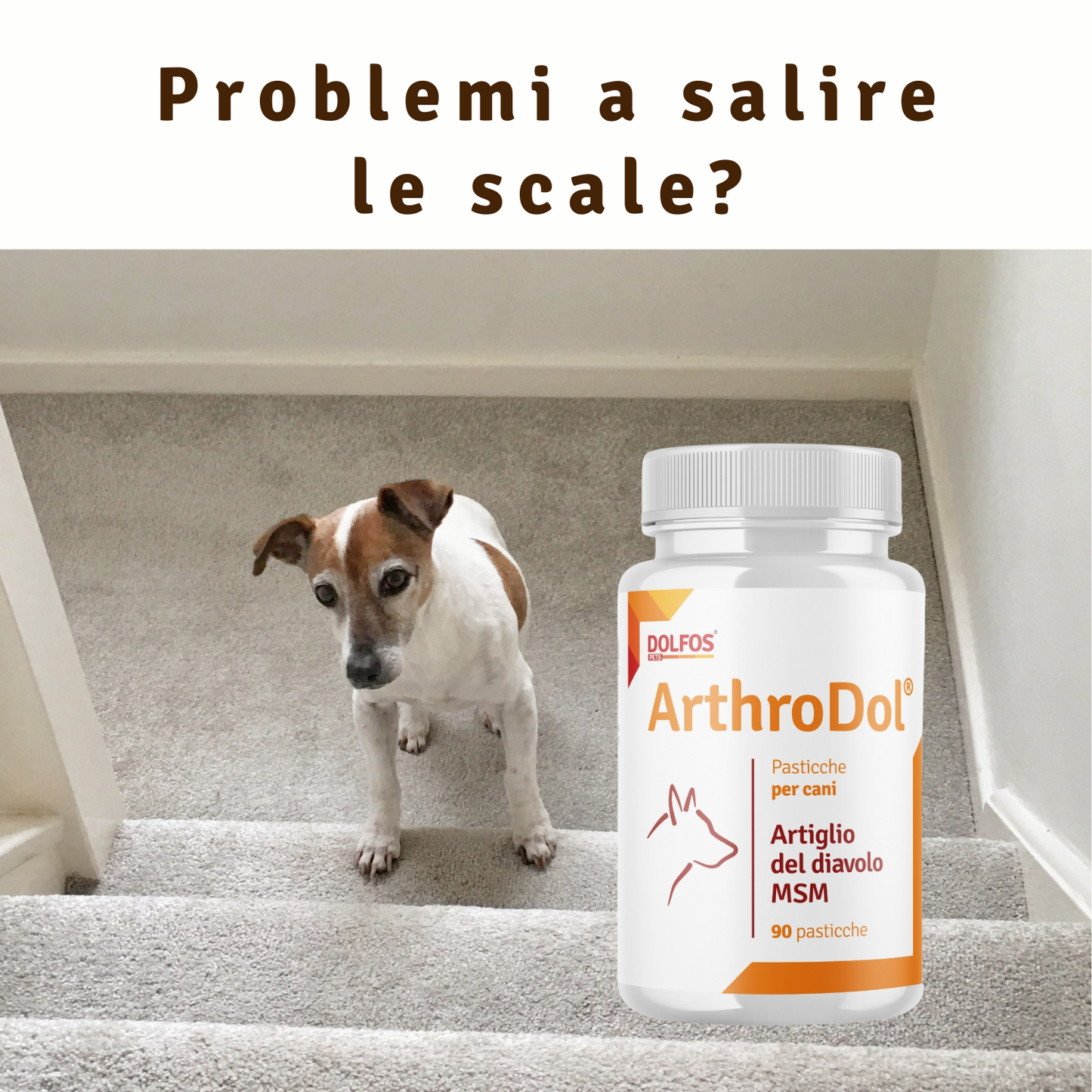 ArthroDol 90 "indicato in caso di artrite. Antinfiammatorio e Analgesico.."