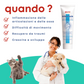 Arthro Paste 100 - "..... migliora la funzionalità articolare del gatto"