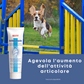 Arthro Paste 100 - "..... migliora la funzionalità articolare del gatto"