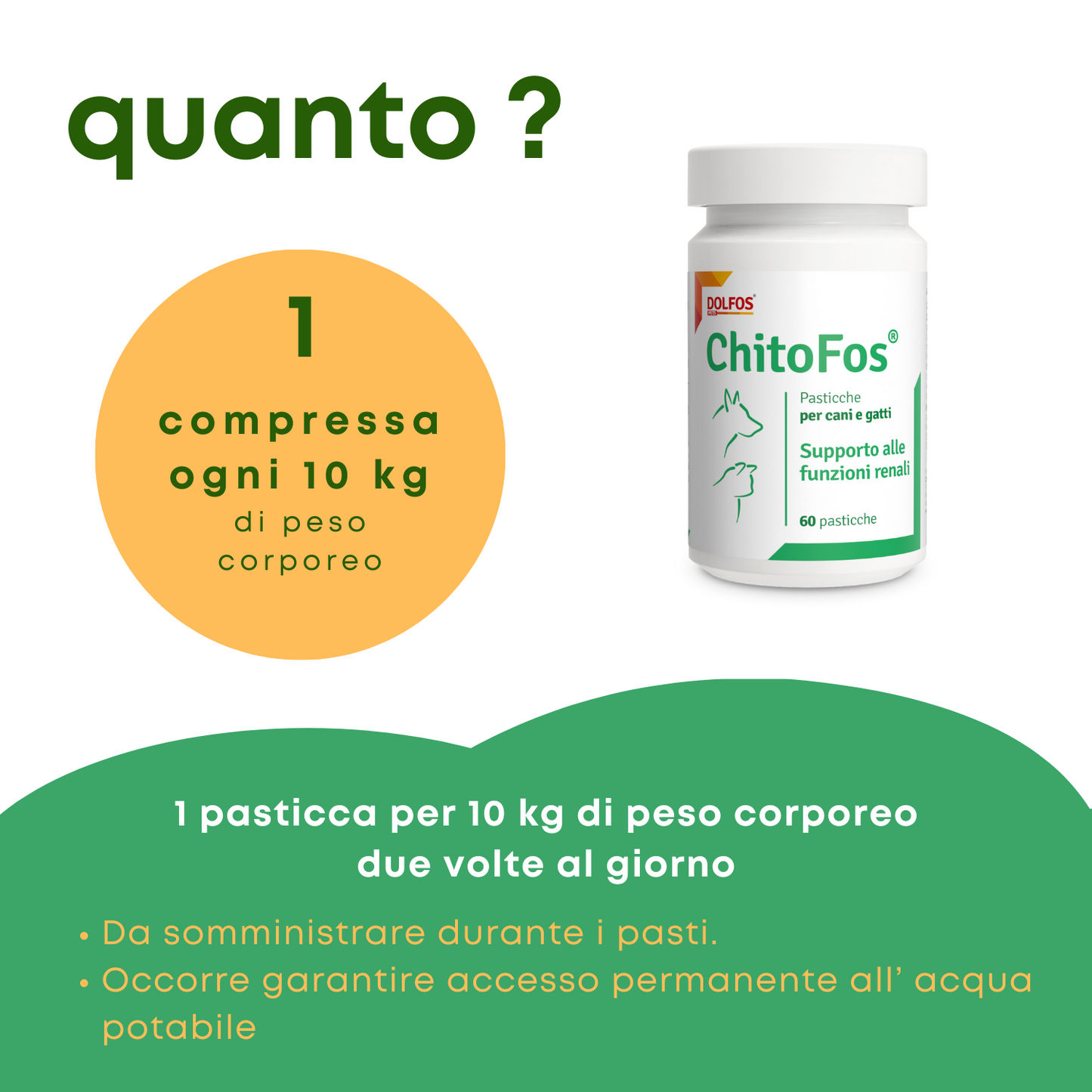 ChitoFos 60 ".. a supporto delle funzioni renali"