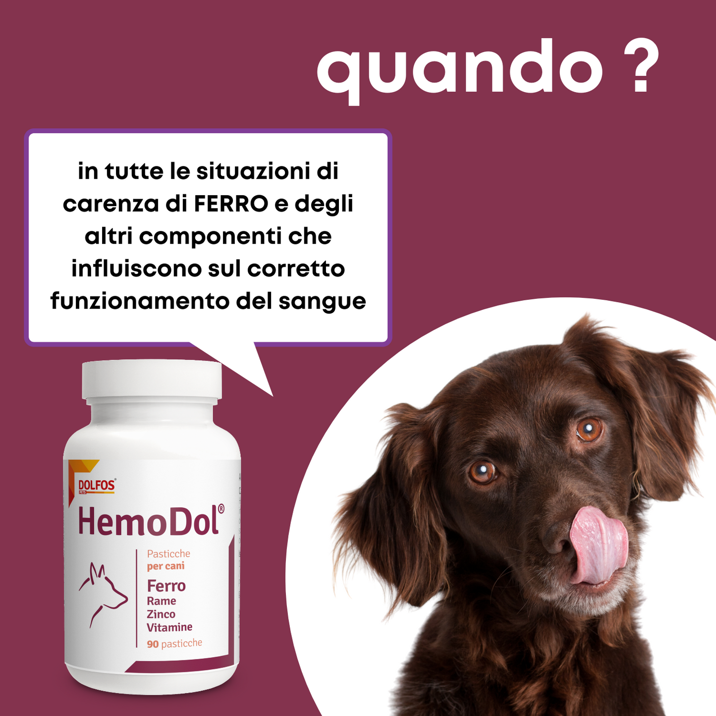 HemoDol 90 ".. Ferro chelato, Zinco chelato, Rame chelato, Vitamine .... "