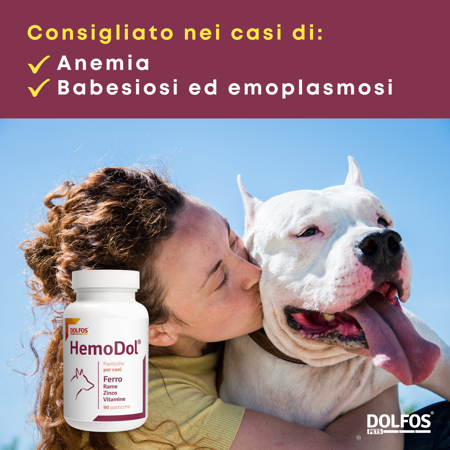 HemoDol 90 ".. Ferro chelato, Zinco chelato, Rame chelato, Vitamine .... "