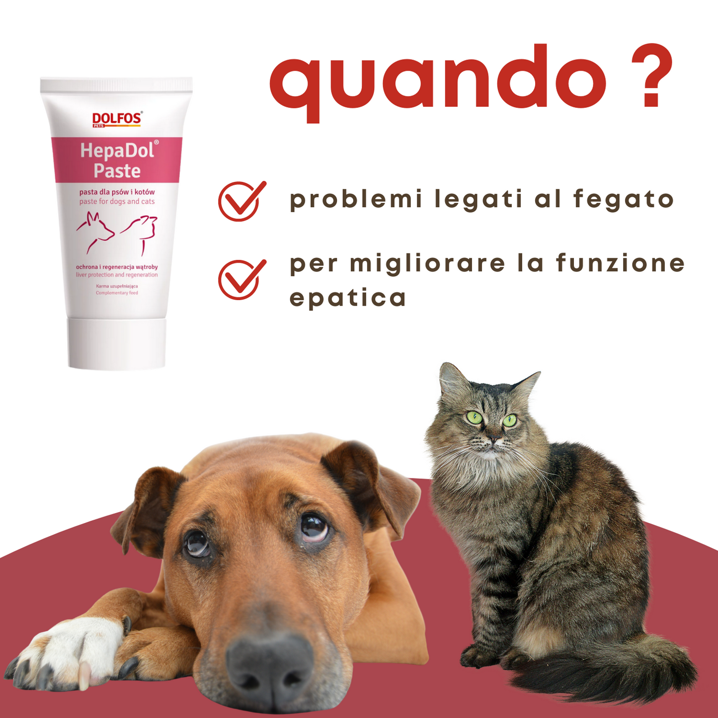 HepaDol Paste 50 "... migliora la funzione epatica...."