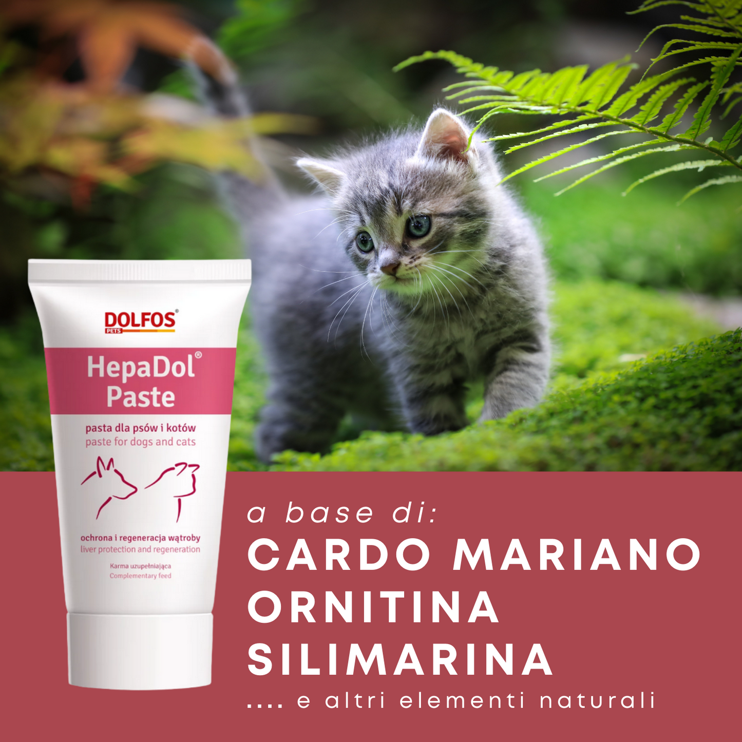 HepaDol Paste 50 "... migliora la funzione epatica...."