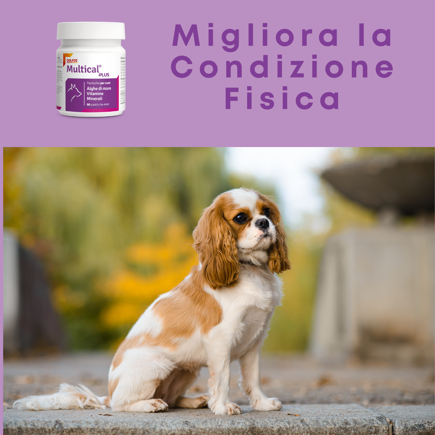 Multical Plus mini 90  ".. vitamine e minerali per il cane adulto ... "