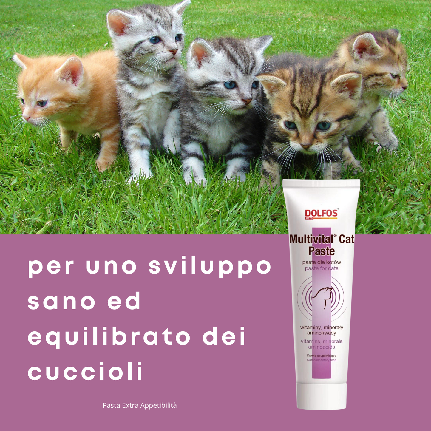 Multivital Cat Paste 100