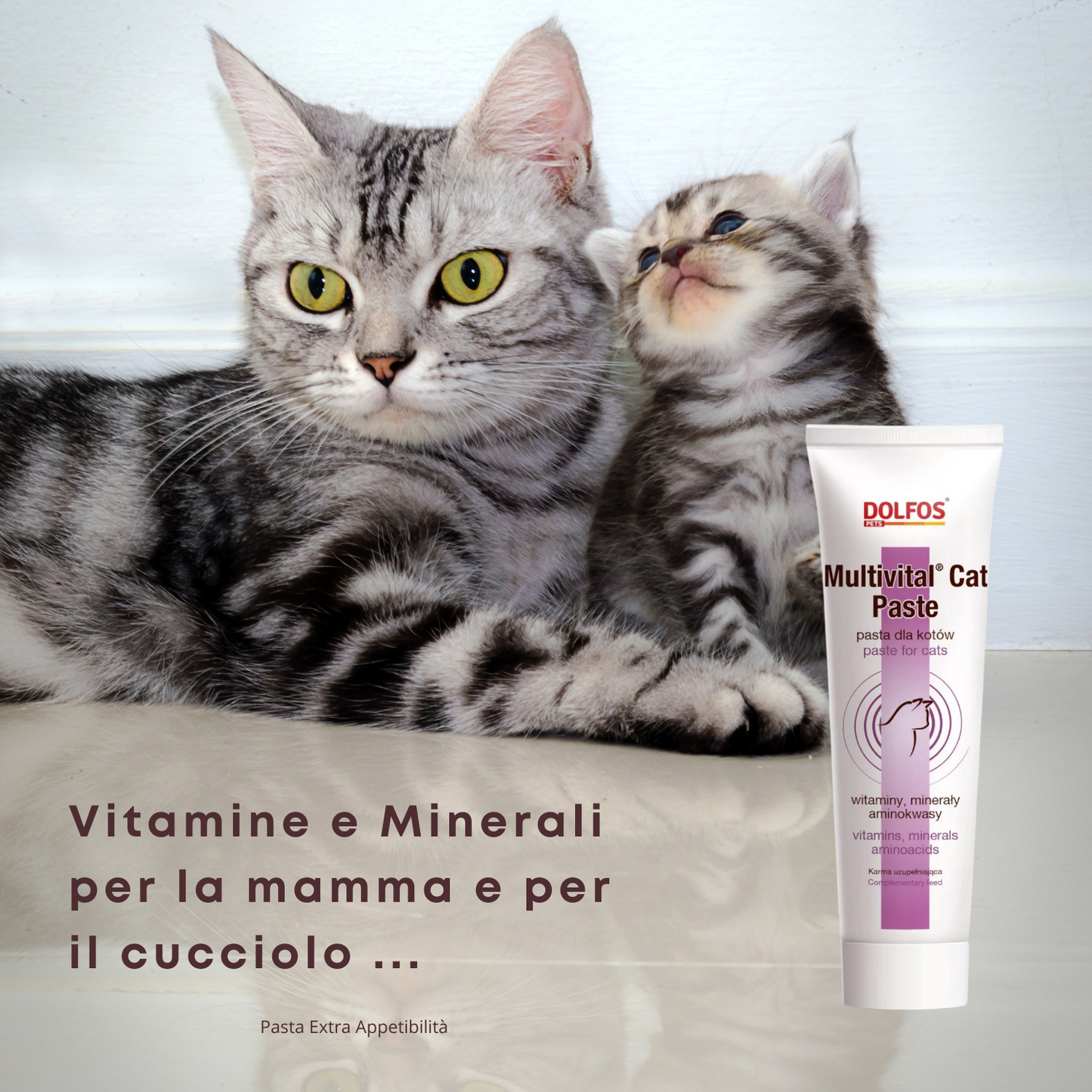 Multivital Cat Paste 100