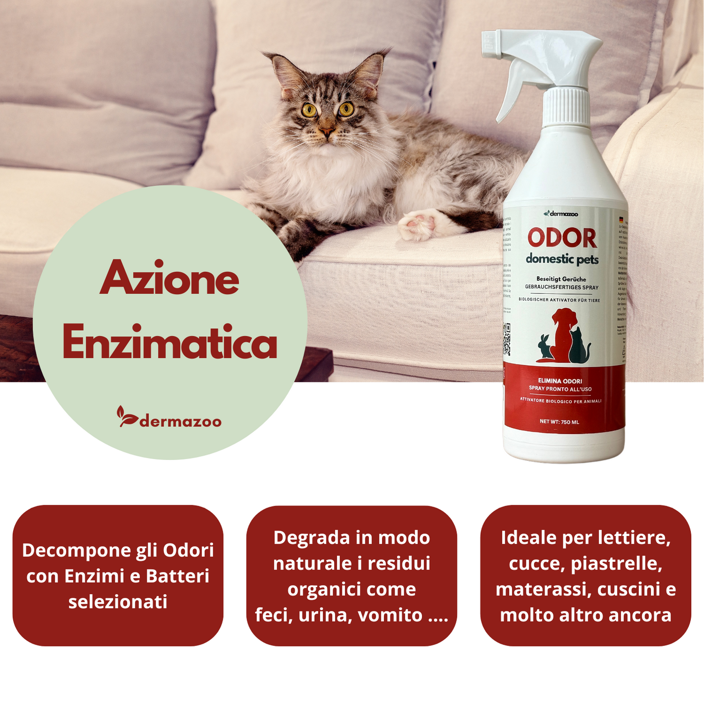 Dermazoo - ODOR PETS - Elimina odori e Macchie per Cani e Gatti