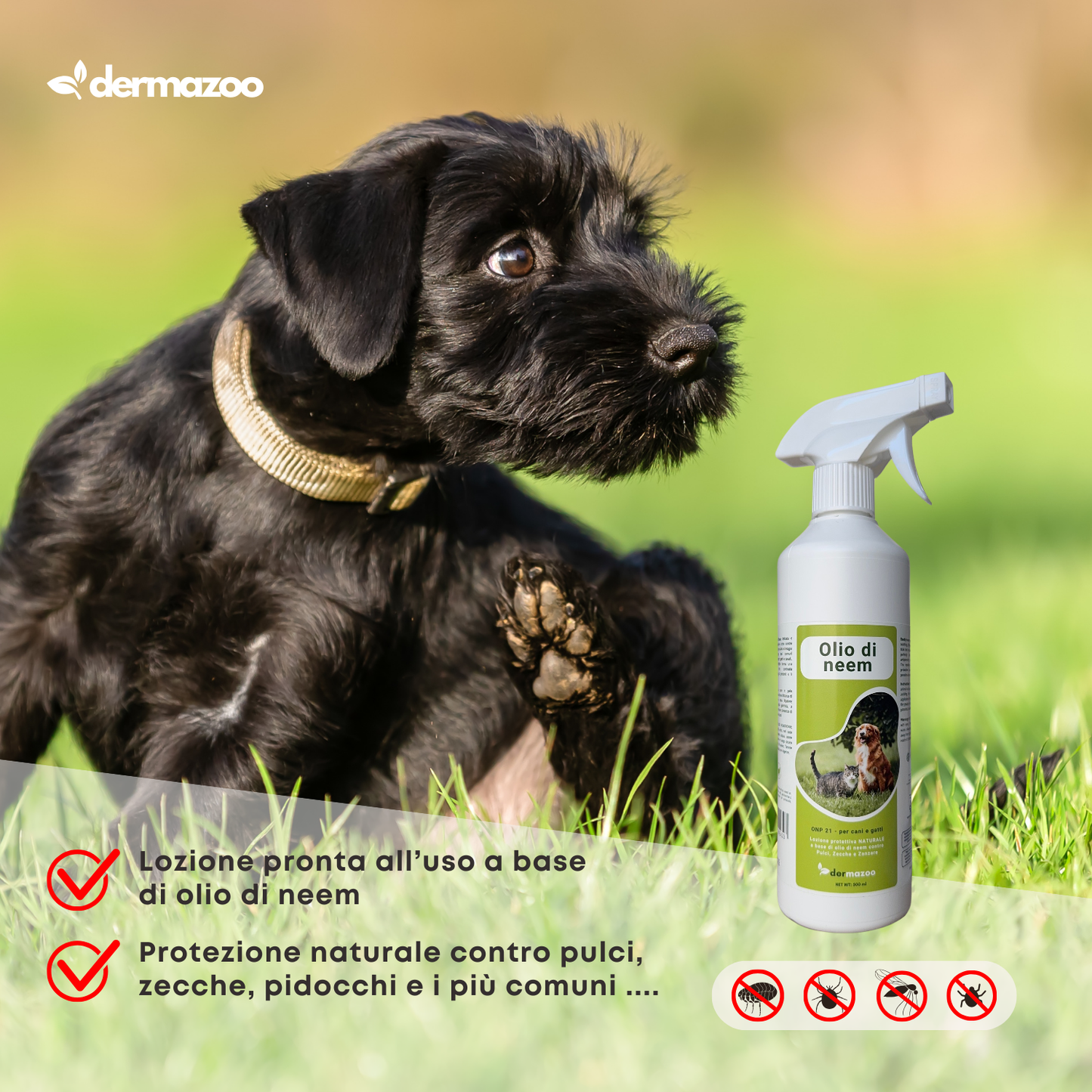 dermazoo - Olio di Neem per Cani Repellente Spray