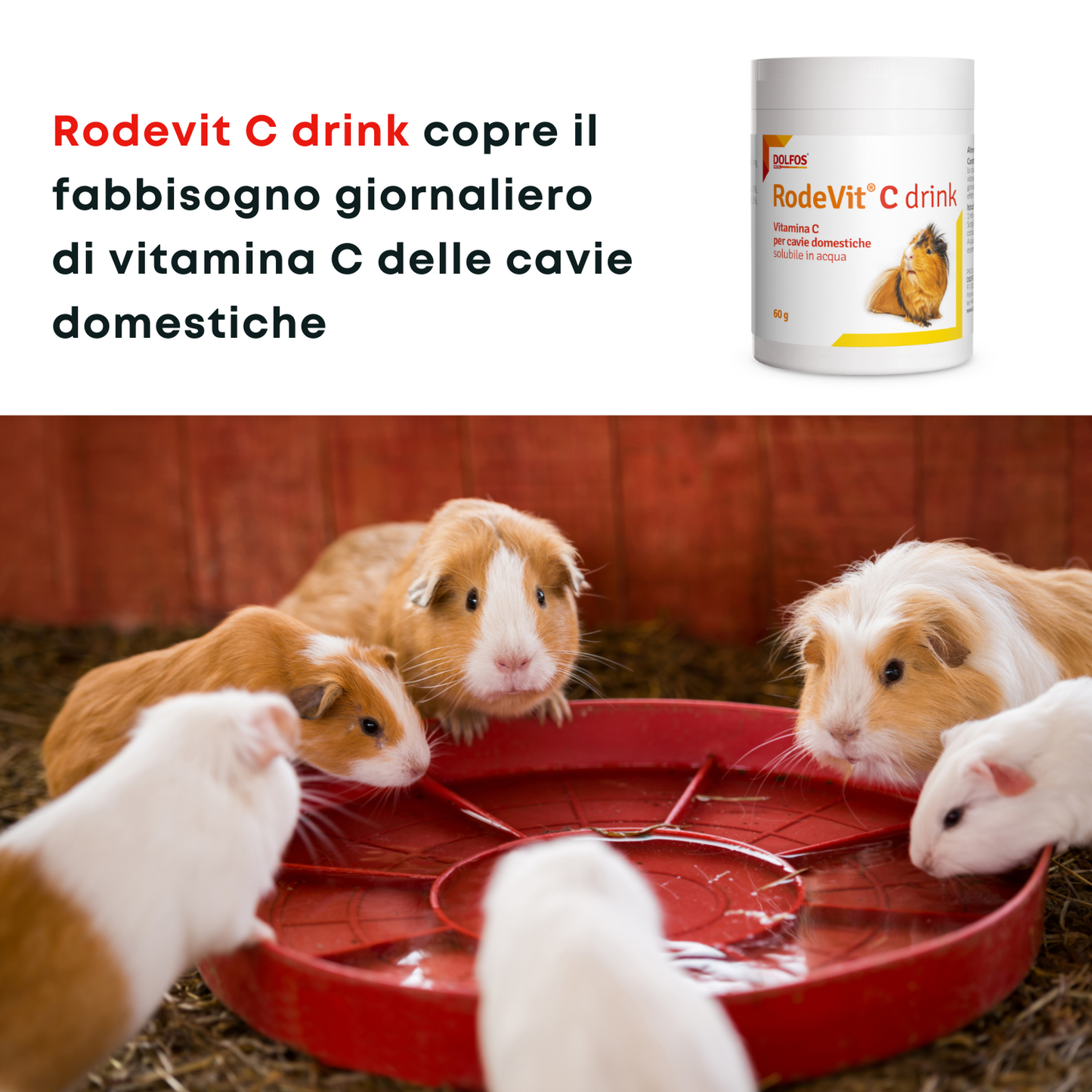 RodeVit C drink 60