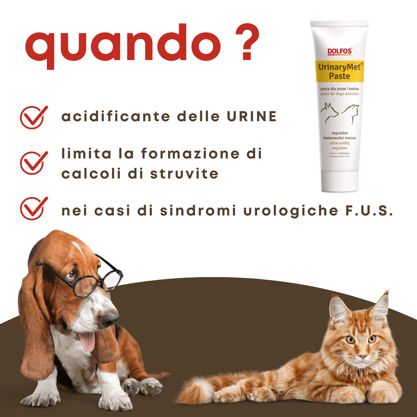 UrinaryMet Paste ".... acidificante delle urine, a base di metionina.."
