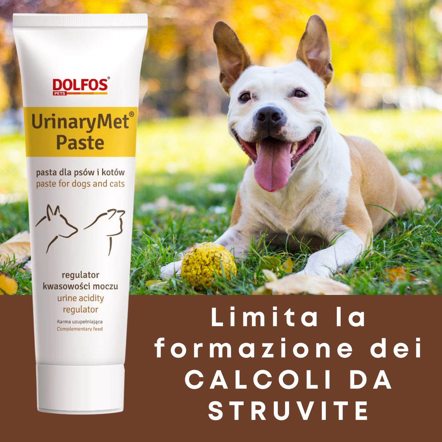 UrinaryMet Paste ".... acidificante delle urine, a base di metionina.."
