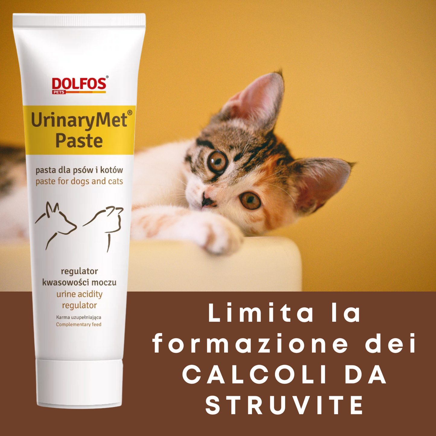 UrinaryMet Paste ".... acidificante delle urine, a base di metionina.."