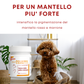 Dolvit Beta Carotene & Biotina Forte mini 90 "... un aiuto per i periodi di muta, pelle secca .."