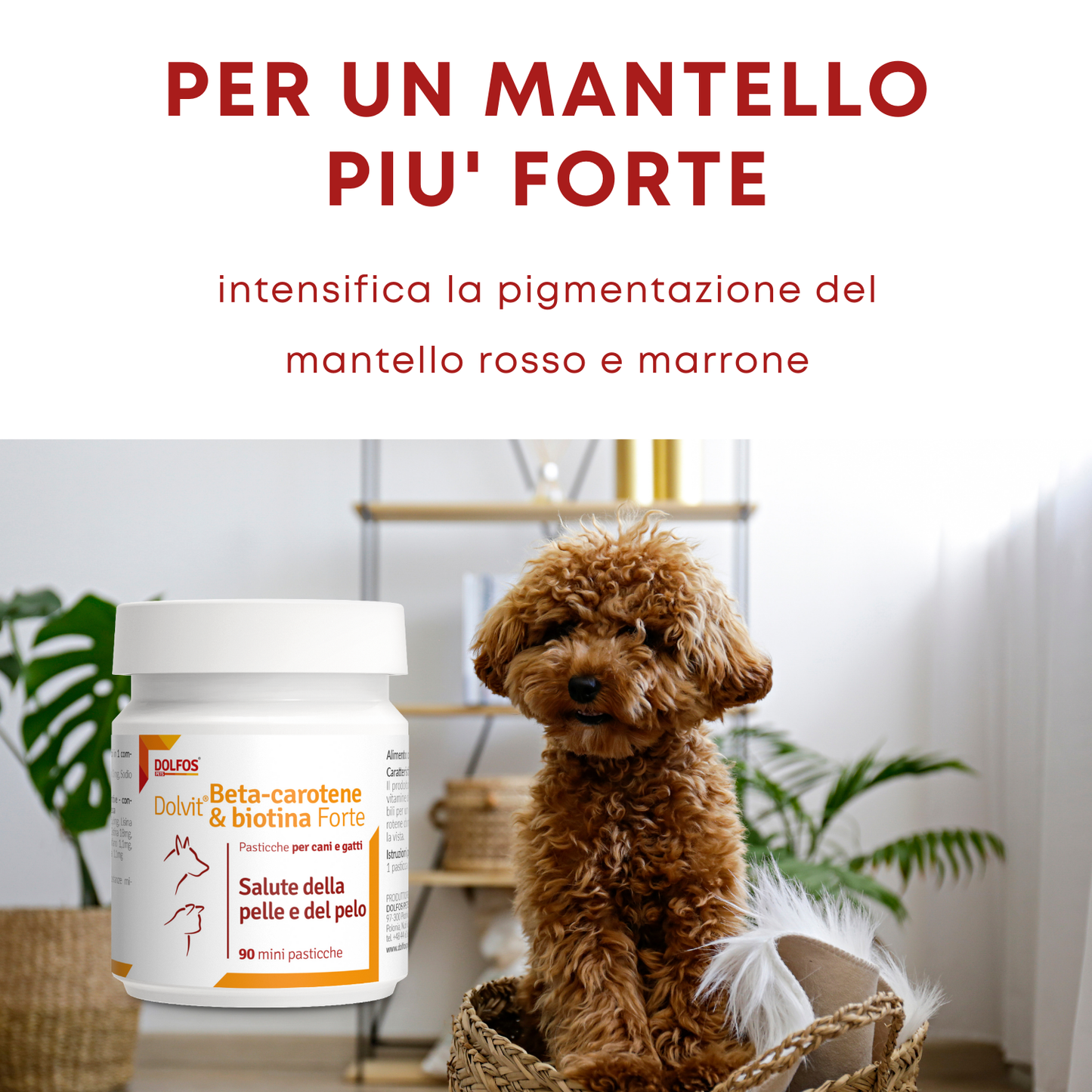 Dolvit Beta Carotene & Biotina Forte mini 90 "... un aiuto per i periodi di muta, pelle secca .."