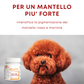 Dolvit Beta Carotene & Biotina Forte mini 90 "... un aiuto per i periodi di muta, pelle secca .."