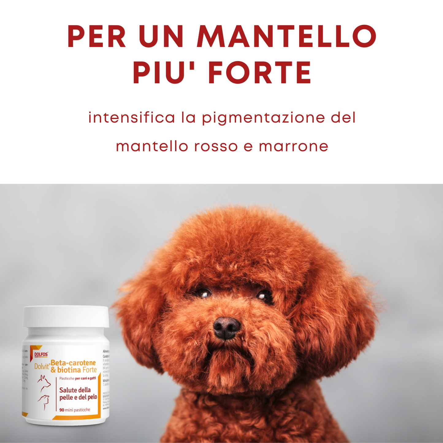 Dolvit Beta Carotene & Biotina Forte mini 90 "... un aiuto per i periodi di muta, pelle secca .."