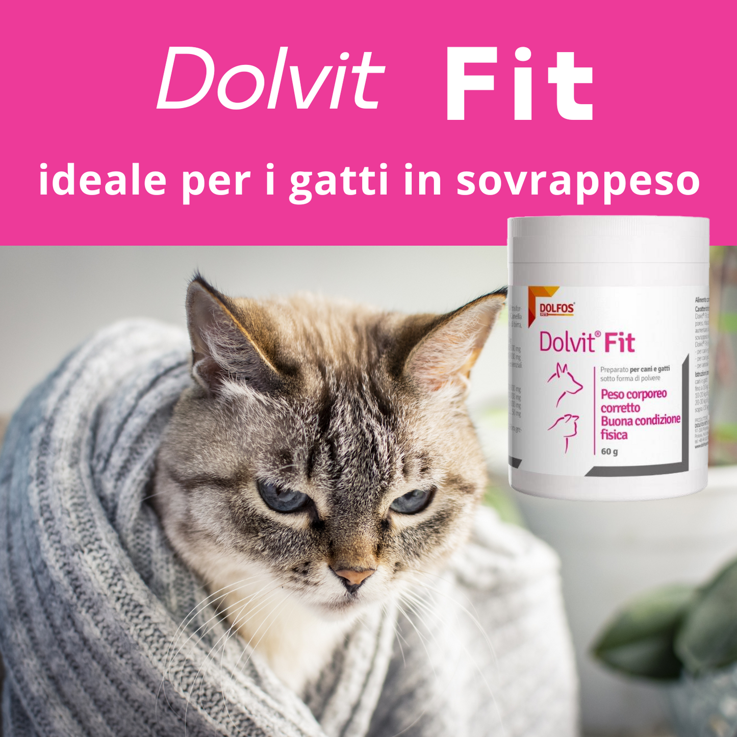 Copia del Dolvit FIT 60 grammi "... aiuta a ridurre la massa grassa..."